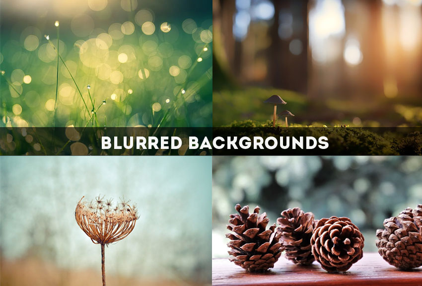 Free Blur Background Photoshop Action In Photoshop Online