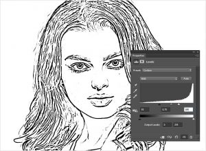 [FREE ] Line Art Photoshop Tutorial & Action